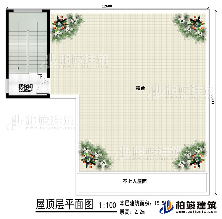 房顶：楼梯间、露台
